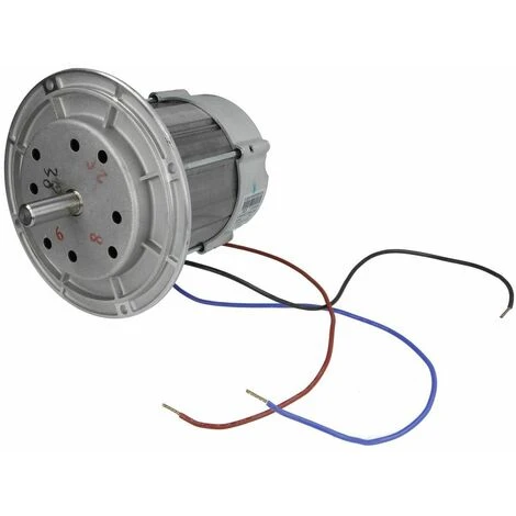 RIELLO Moteur de ventilateur 250 W RIELLO Moteur De Ventilateur 250 W -RIELLO Soldes Magasin 31886110 1